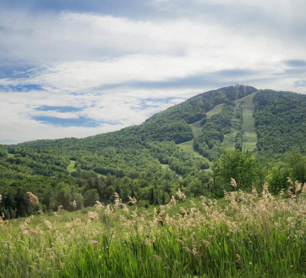 Superbe Condo A 5 Minutes Du Mont Orford Exterior photo